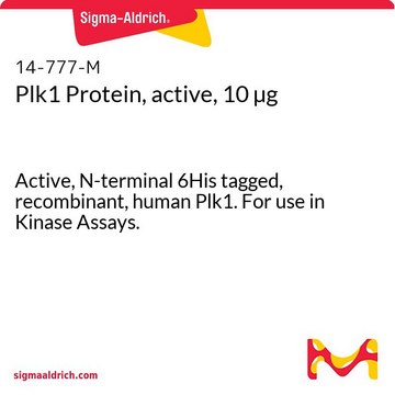 Plk1-Protein, aktiv, 10&nbsp;&#181;g Active, N-terminal 6His tagged, recombinant, human Plk1. For use in Kinase Assays.