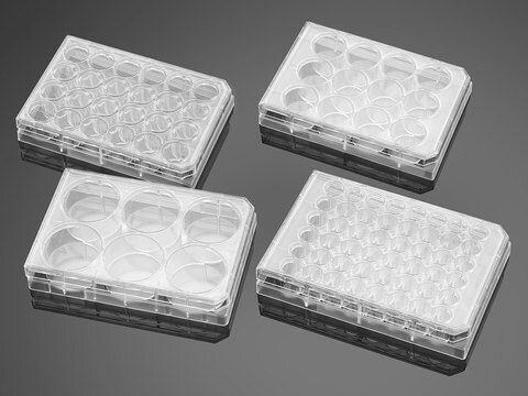 Corning&#174; BioCoat&#8482; Poly-D-Lysine Multiwell Plate well size 6&#160;wells, flat bottom clear wells, lid