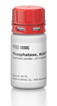 Phosphatase, sauer aus Kartoffeln lyophilized powder, &#8805;0.5&#160;unit/mg solid