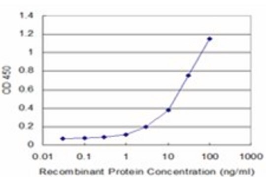 Monoclonal Anti-PLEKHM1 antibody produced in mouse clone 1C9, purified immunoglobulin, buffered aqueous solution