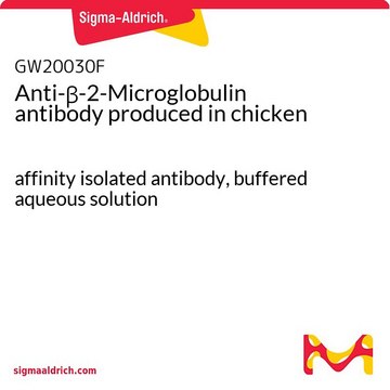 Anti-&#946;-2-Microglobulin antibody produced in chicken affinity isolated antibody, buffered aqueous solution