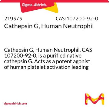 Cathepsin G, Human Neutrophil Cathepsin G, Human Neutrophil, CAS 107200-92-0, is a purified native cathepsin G. Acts as a potent agonist of human platelet activation leading to their aggregation.