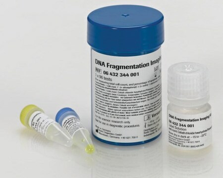 DNA Fragmentation Imaging Kit