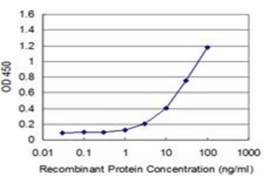 Monoclonal Anti-EGFR antibody produced in mouse clone 4H2, purified immunoglobulin, buffered aqueous solution