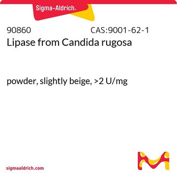 Lipase from Candida rugosa powder, slightly beige, &gt;2&#160;U/mg