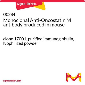 Monoclonal Anti-Oncostatin M antibody produced in mouse clone 17001, purified immunoglobulin, lyophilized powder