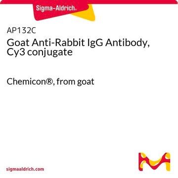 ヤギ抗ウサギIgG抗体、Cy3コンジュゲート Chemicon&#174;, from goat