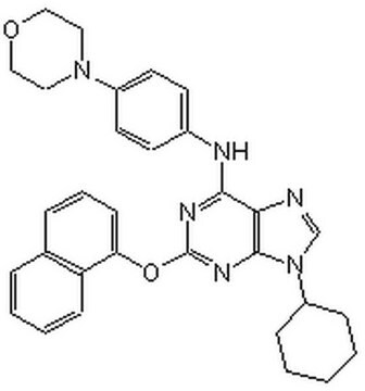 嘌吗啡胺 A cell-permeable activator of Hedgehog signaling that induces osteoblast differentiation of multipotent mesenchymal progenitor cells C3H10T1/2 (EC&#8325;&#8320; = 1 &#181;M).