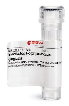 Inaktywowany Porphyromonas gingivalis Suitable for DNA extraction, PCR, sequencing, next generation sequencing, &gt;10^8 bacteria/vial