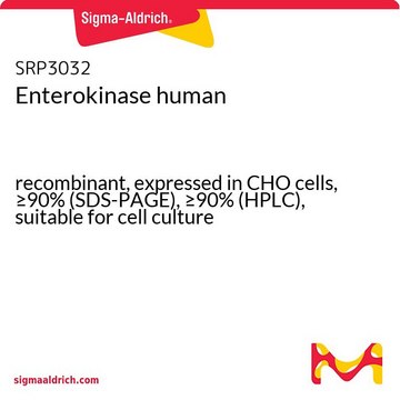 肠激酶 人 recombinant, expressed in CHO cells, &#8805;90% (SDS-PAGE), &#8805;90% (HPLC), suitable for cell culture