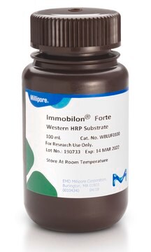 Substrat de peroxydase de raifort pour Western Immobilon Forte, 100&nbsp;ml Western blotting, dot/slot blotting