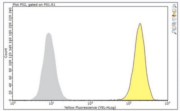 Przeciwciało anty-CD46, klon TRA-2-10 clone TRA-2-10, from mouse