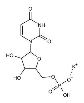 ポリウリジル酸–アガロース lyophilized powder, matrix polyacrylhydrazido-agarose