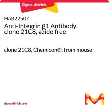 Anti-Integrin &#946;1 Antibody, clone 21C8, azide free clone 21C8, Chemicon&#174;, from mouse