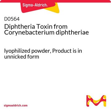 Toxina da difteria lyophilized powder, Product is in unnicked form