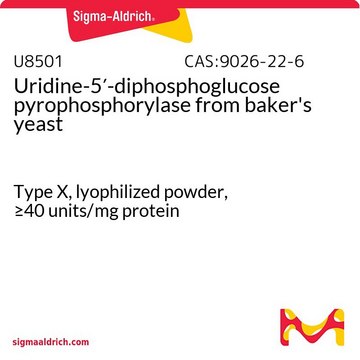 尿苷-5′-二磷酸葡萄糖焦磷酸化酶 来源于面包酵母 Type X, lyophilized powder, &#8805;40&#160;units/mg protein