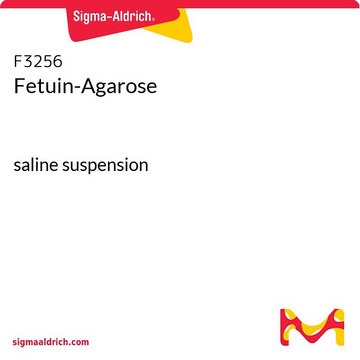 Fetuin-Agarose saline suspension