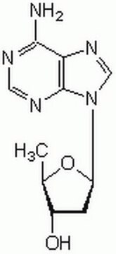 2&#8242;,5&#8242;-Didesoxyadenosin Cell-permeable, non-competitive adenylate cyclase inhibitor (IC&#8325;&#8320; = 3 &#181;M), that binds to the adenosine P1 binding site.