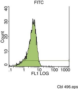 Anti-CD34 Class II Antibody, clone QBEND/10, FITC conjugated clone QBEND/10, Chemicon&#174;, from mouse