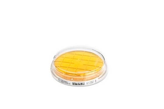 ReadyPlate&#8482; CT DG 18 Agar ISO 21527-2 ReadyPlate&#8482;, ready-to-use, plate diam. 55&#160;mm, for yeasts, for molds