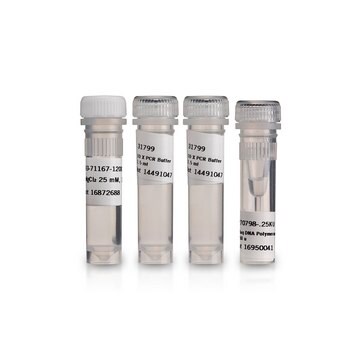 Recombinant Taq DNA Polymerase 5000&#160;unit/mL