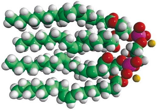 18:1 Cardiolipin Avanti Polar Lipids