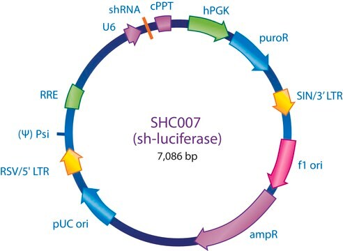 MISSION&#174; Luciferase shRNA Control Vector shRNA sequence targeting luciferase