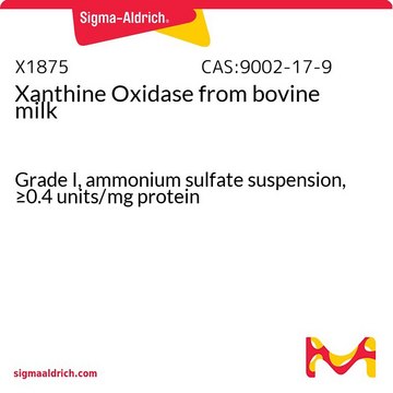 キサンチンオキシダーゼ from bovine milk Grade I, ammonium sulfate suspension, &#8805;0.4&#160;units/mg protein