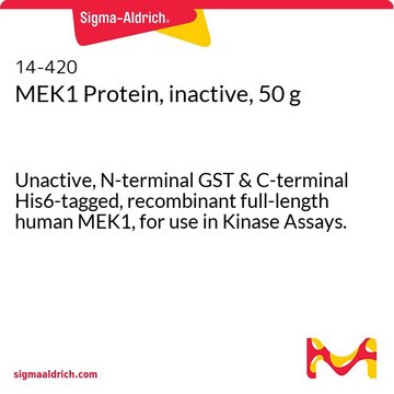 Proteína MEK1, inactiva, 50 g Unactive, N-terminal GST &amp; C-terminal His6-tagged, recombinant full-length human MEK1, for use in Kinase Assays.