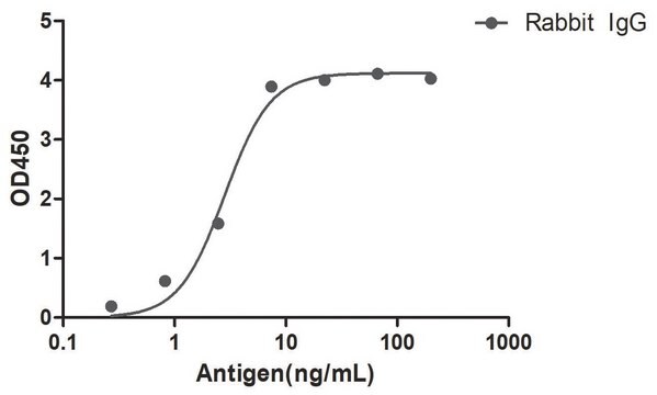 Przeciwciało Alpaca przeciw królikowi IgG (Fcγ) z pojedynczą domeną recombinant Alpaca(VHH) Nano antibody