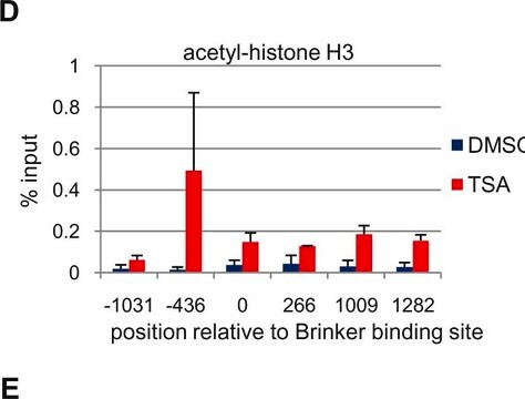 Anticorps anti-acétyl-histone&nbsp;H3 (Lys9) Upstate&#174;, from rabbit