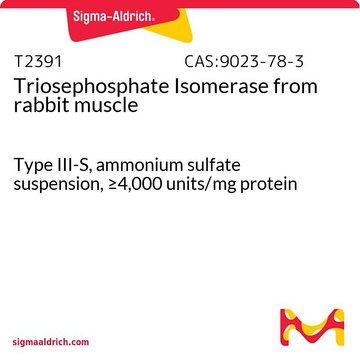 トリオースリン酸イソメラーゼ ウサギ筋肉由来 Type III-S, ammonium sulfate suspension, &#8805;4,000&#160;units/mg protein