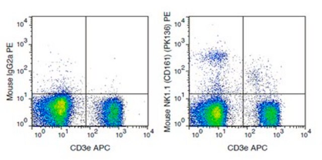 Anti- CD161 (NK1.1) (mouse), PE, clone PK136 Antibody clone PK136, from mouse, PE