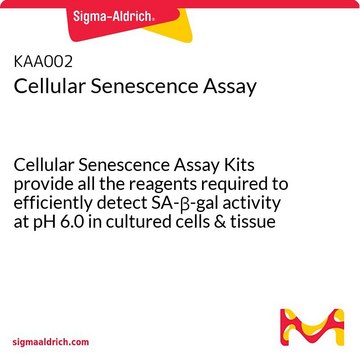 Dosage de la sénescence cellulaire Cellular Senescence Assay Kits provide all the reagents required to efficiently detect SA-&#946;-gal activity at pH 6.0 in cultured cells &amp; tissue sections.