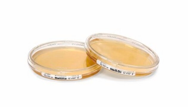 Agar de triptona soja - Placas de sedimentación listas para usar Penase, Tween, Thiosulfate, Histidine, Lecithin, ICR plus with lockable lid, plate volume × diam. 30&#160;mL × 90&#160;mm, sterile; &#947;-irradiated, pkg of 10&#160;plates Triple packed, suitable for air monitoring