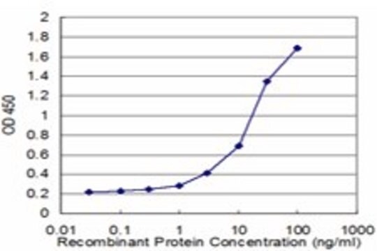 Monoclonal Anti-UBE2E3 antibody produced in mouse clone 4C4, purified immunoglobulin, buffered aqueous solution