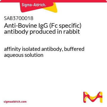 Anti-Bovine IgG (Fc specific) antibody produced in rabbit affinity isolated antibody, buffered aqueous solution