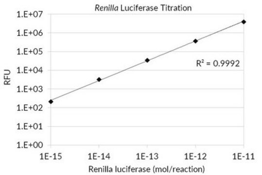 Saggio della luciferasi di Renilla Flash-type Renilla Luciferase assay designed to yield reliable, linear measurements of Renilla luciferase activity with minimal autoluminescence background and superior sensitivity.