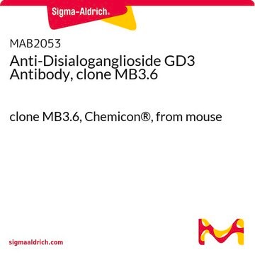 Anticorps anti-disialoganglioside&nbsp;GD3, clone&nbsp;MB3.6 clone MB3.6, Chemicon&#174;, from mouse