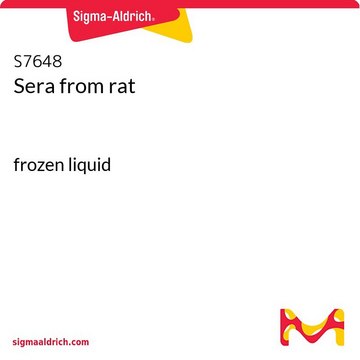 Seren aus Ratte frozen liquid