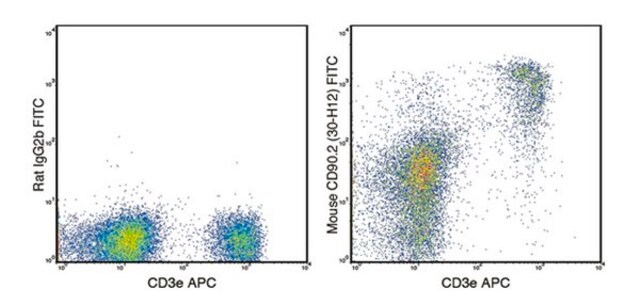 Anti-CD90.2 (mouse), FITC, clone 30-H12 Antibody clone 30-H12, from rat, FITC conjugate