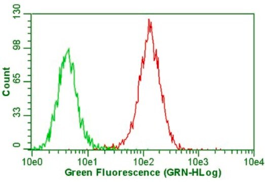 抗インテグリン&#945;V&#946;5抗体、クローンP1F6、アジ化物フリー clone P1F6, Chemicon&#174;, from mouse