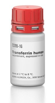 Transferrin human recombinant, expressed in rice