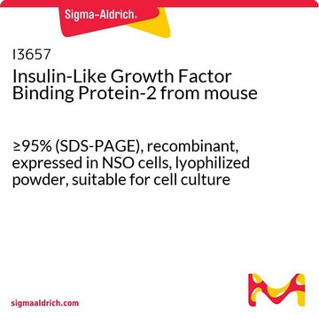 インスリン様増殖因子結合タンパク質-2 マウス由来 &#8805;95% (SDS-PAGE), recombinant, expressed in NSO cells, lyophilized powder, suitable for cell culture