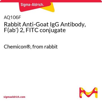 Rabbit Anti-Goat IgG Antibody, F(ab&#8242;) 2, FITC conjugate Chemicon&#174;, from rabbit