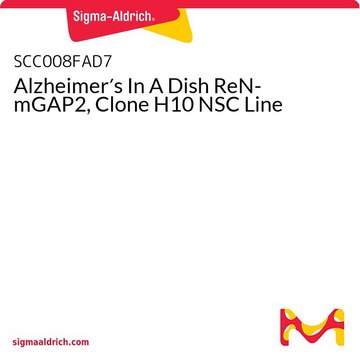 Alzheimer&#8242;s In A Dish ReN-mGAP2, Clone H10 NSC Line