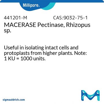 MACERASE Pectinase, Rhizopus sp. Useful in isolating intact cells and protoplasts from higher plants. Note: 1 KU = 1000 units.