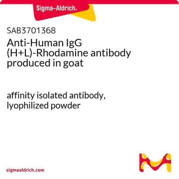 Anti-Human IgG (H+L)-Rhodamine antibody produced in goat affinity isolated antibody, lyophilized powder