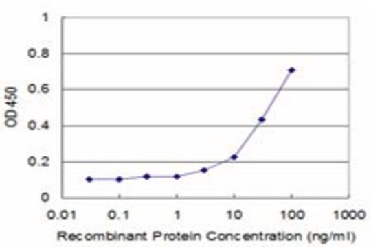 Monoclonal Anti-CNOT2 antibody produced in mouse clone 2E10, purified immunoglobulin, buffered aqueous solution