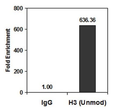 Anti-Histone H3 Antibody, (Unmodified Lys4), clone CMA301, Trial Size clone CMA301, from mouse, purified by affinity chromatography